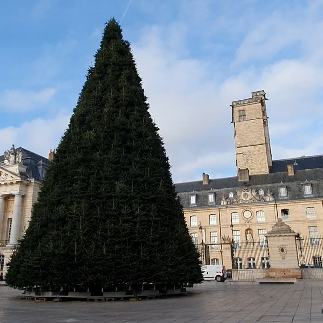 Le grand sapin de la place de la Libération a été installé cette semaine 